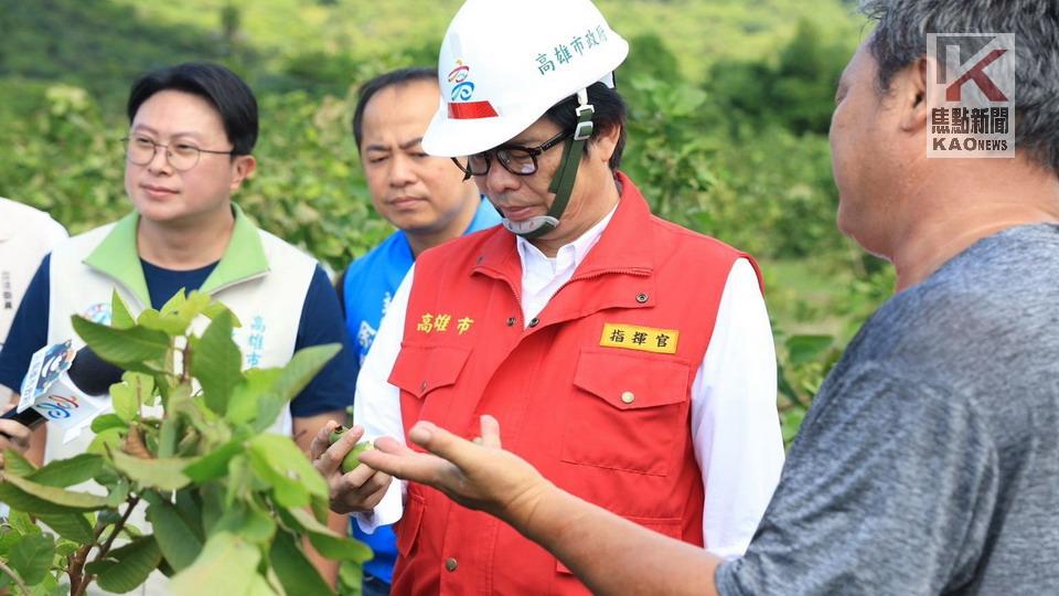 山陀兒重創高雄農產　陳其邁向中央積極爭取全品項現金救助