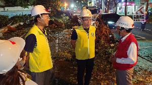 林欽榮夜間視察排除進度　高市主要道路樹障已搶通